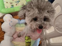 -嘉馨宠物医院·CT影像转诊·心脏科·犬猫全科诊疗中心(下沙大学城院区)