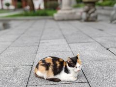 -南华禅寺