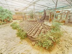 -世纪公园-世纪春沁园