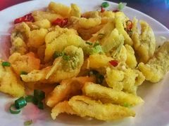 -食海部落