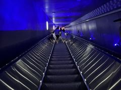 -白鹤梁水下博物馆