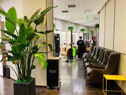 -崇尚GAVIN STYLE臻选