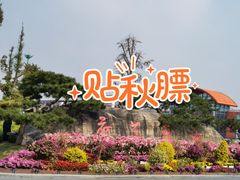 -荷兰花海
