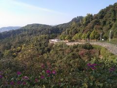 -火炉山森林公园