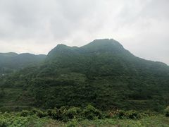 -南江大塘鱼庄