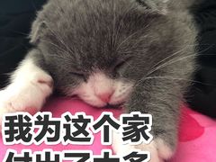 -安安宠医·安烨宠物医院·宠物保险(北仑分院)