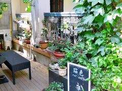 露天位-猫色咖啡·猫咖