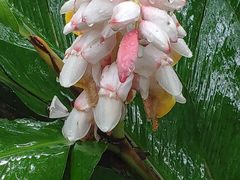 -呀诺达热带雨林