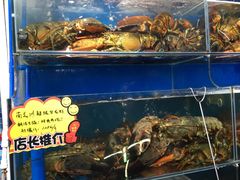 -蚝专家(北滘店)