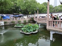 -豫园湖心亭茶楼