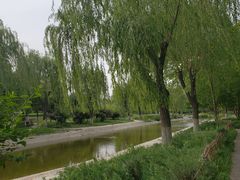 -丰台科技园生态主题公园