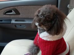 -北京赛佳动物医院