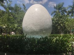 -100蛋泥浆浴