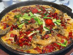 -老板恋上鱼(高新万达店)