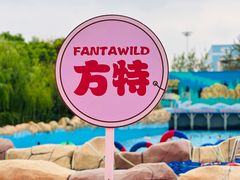 -芜湖方特水上乐园