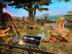 -国家自然博物馆