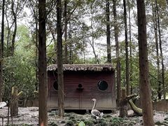 -昆山城市生态森林公园