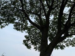 -南北湖风景区