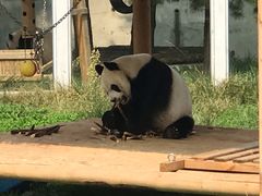 -西安秦岭野生动物园