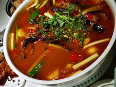 -院8里·小聚园老川菜(九眼桥店)