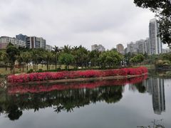 -深圳龙潭公园