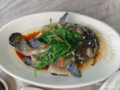 -众味海鲜大排档·活海鲜·潮汕味(南澳店)
