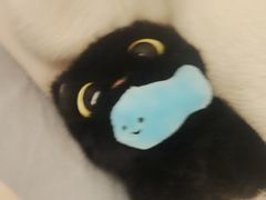 -酷乐潮玩(金桥国际店)