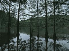 -四明山国家森林公园