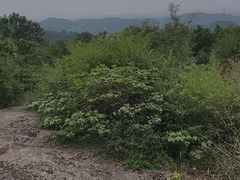 -浮山风景名胜区