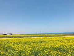-青海湖国家重点风景名胜区