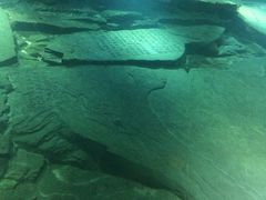-白鹤梁水下博物馆