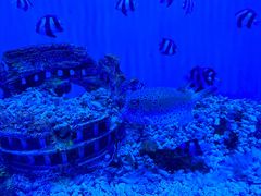 -常州海昌海洋探索馆