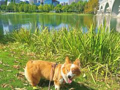 -尚贤河湿地
