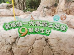 -广州长隆野生动物世界