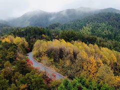 -四明山国家森林公园