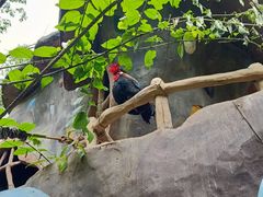 -长鹿旅游休博园