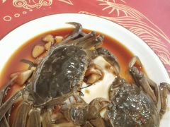 -红灯笼龙凤饭店(宁波老字号店)