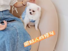 -怪兽屋·羊驼·猫咖·狗咖(俊华广场店)