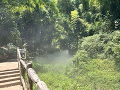 -川西竹海景区
