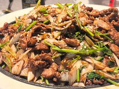 -秀儿四九城·新京菜(亚运村鸟巢店)