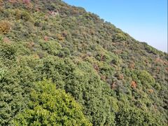 -杭州半山国家森林公园