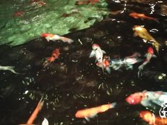 -珍宝海鲜坊(樟宜NSRCC店)
