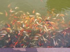 -北戴河圣蓝海洋公园