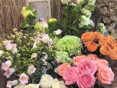 -Lamant Manor已闻花名关於蓝