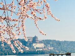 -颐和园
