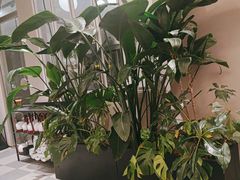 -隅乐胡椒虾·台湾菜·团建(皇岗店)