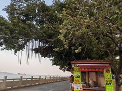 -南沙天后宫景区