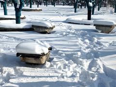 -长白岛森林公园