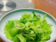 盐水芥菜-琼菜王(南海店)