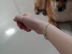 -结绳记(国瑞店)